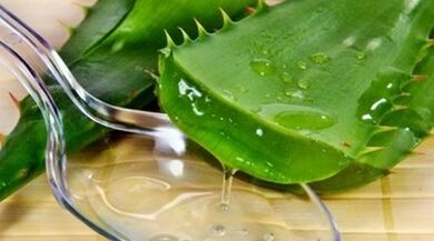 erkaklarning potini oshirish uchun aloe