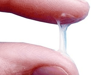 Odatda erkakning sekretsiyasi nimaga o'xshaydi