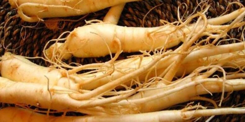 potentsialni oshirish uchun ginseng ildizi